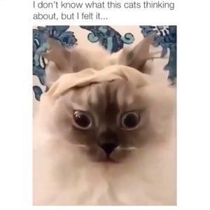 Meet your Posher, Isaac